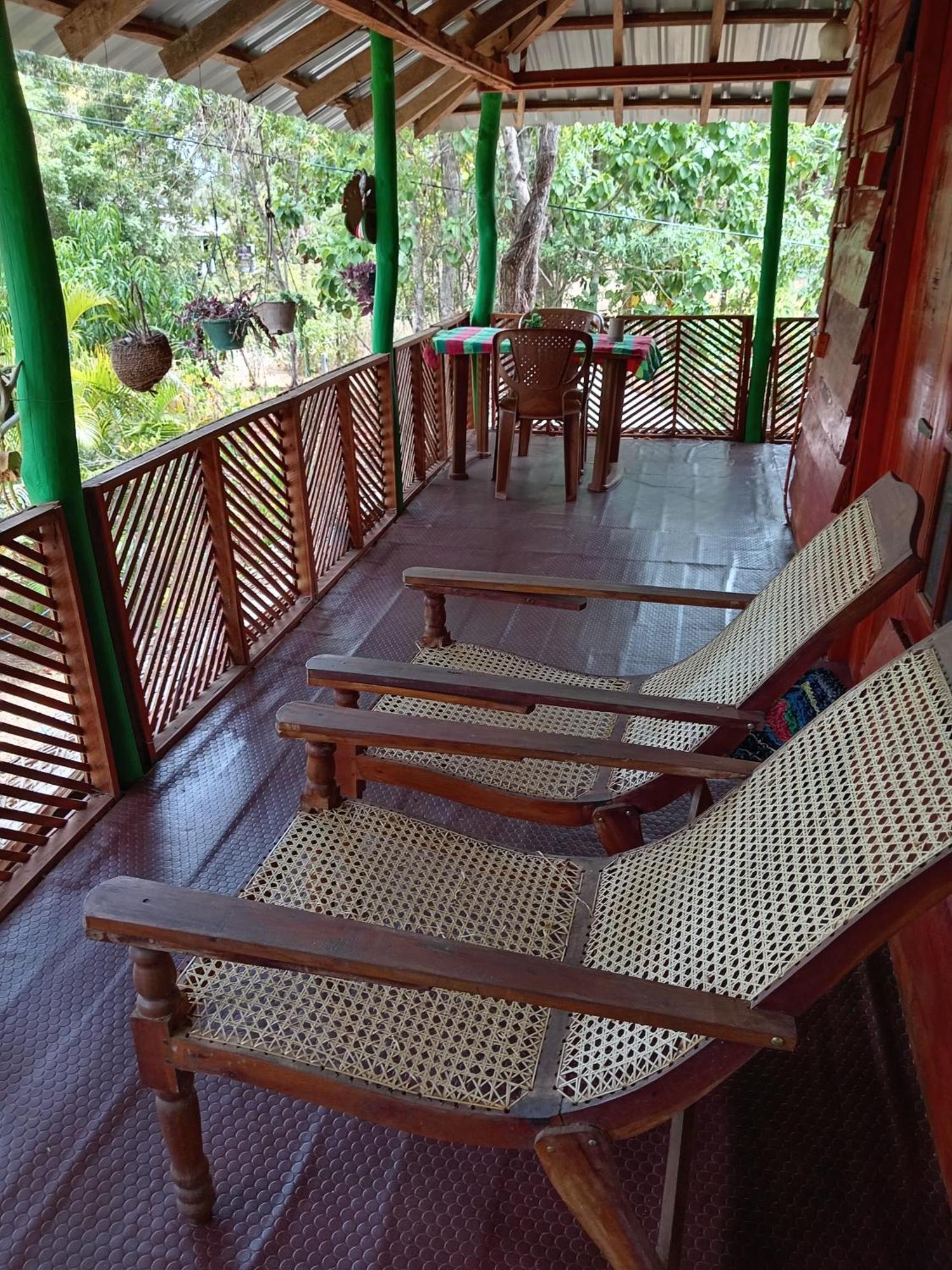 Lion Eco Palace Sigiriya Exterior foto